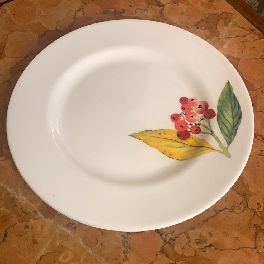Crate & Barrel Mary Woodin Winter Berries Appetizer plate